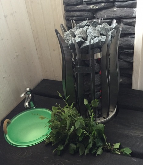 vms vanha hirsitalo sauna